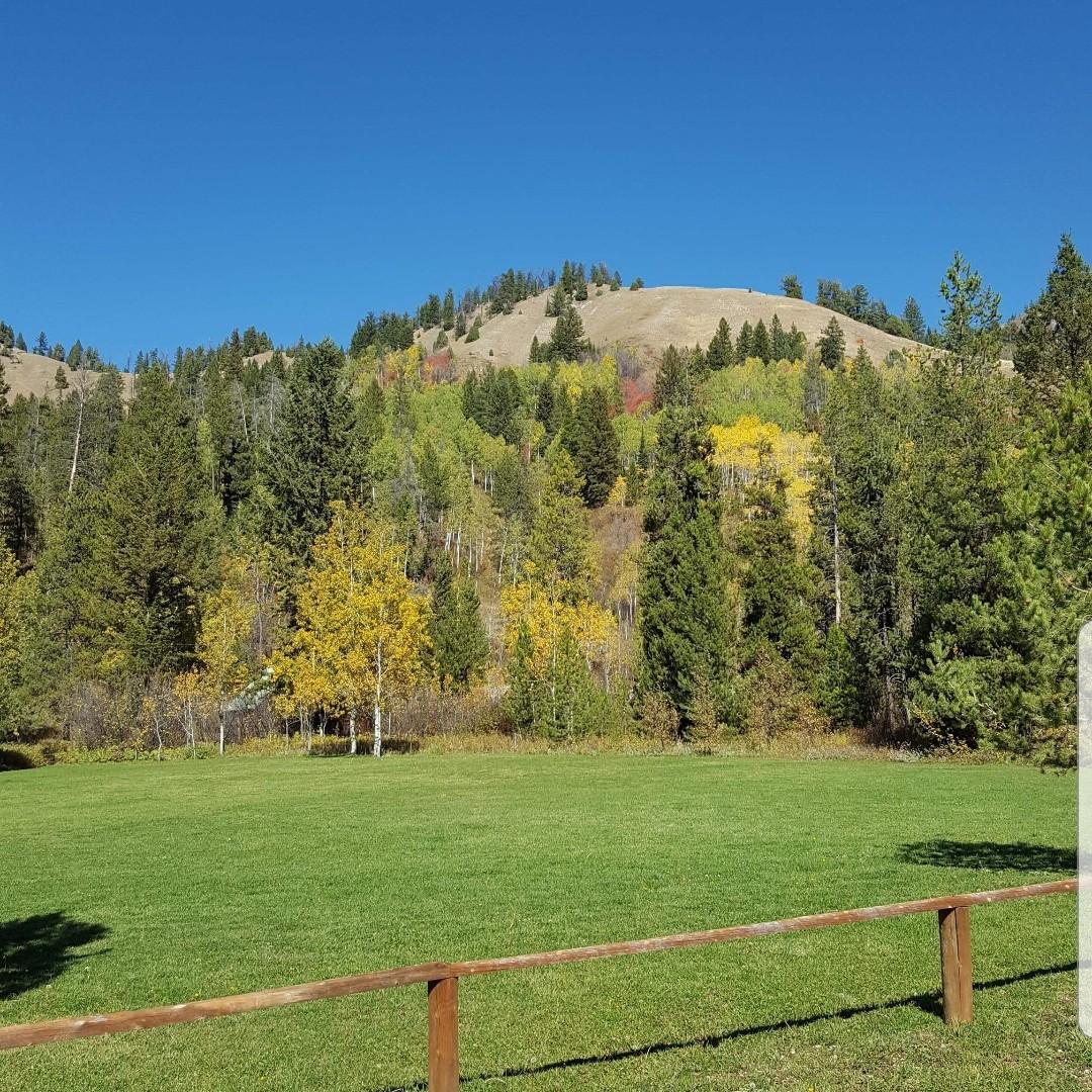 Field where ceremony will take place