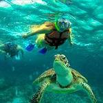 Cabo Catoche Tour