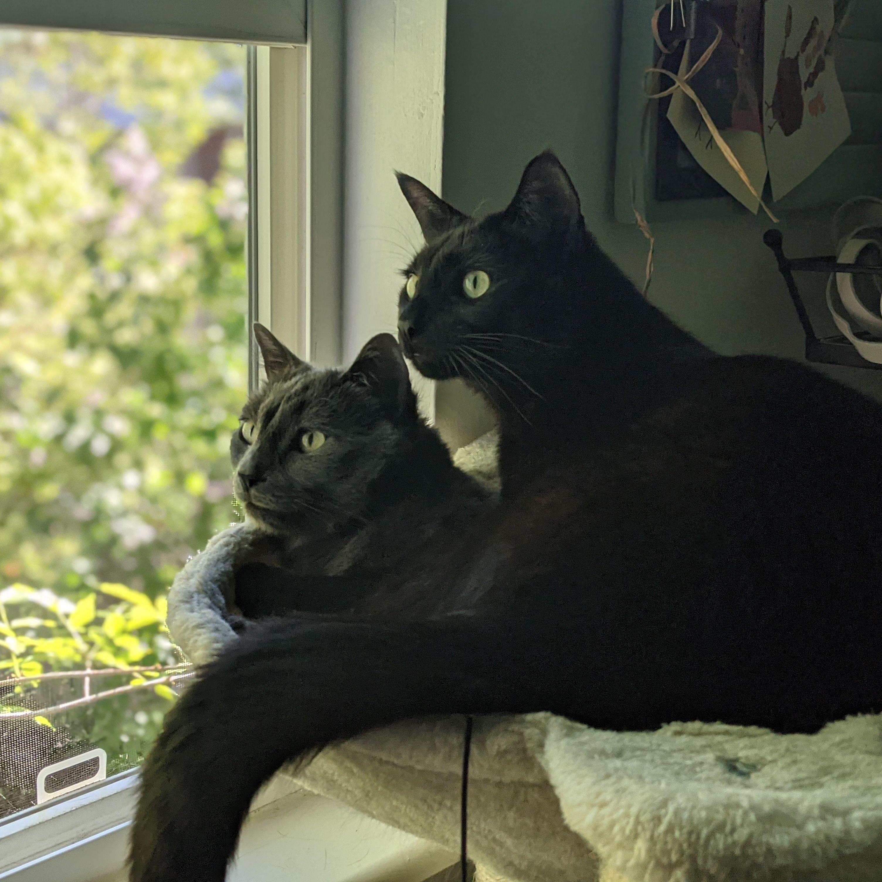 Ezri & Ruin