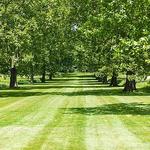 🔬 Institute for Advanced Study Woods