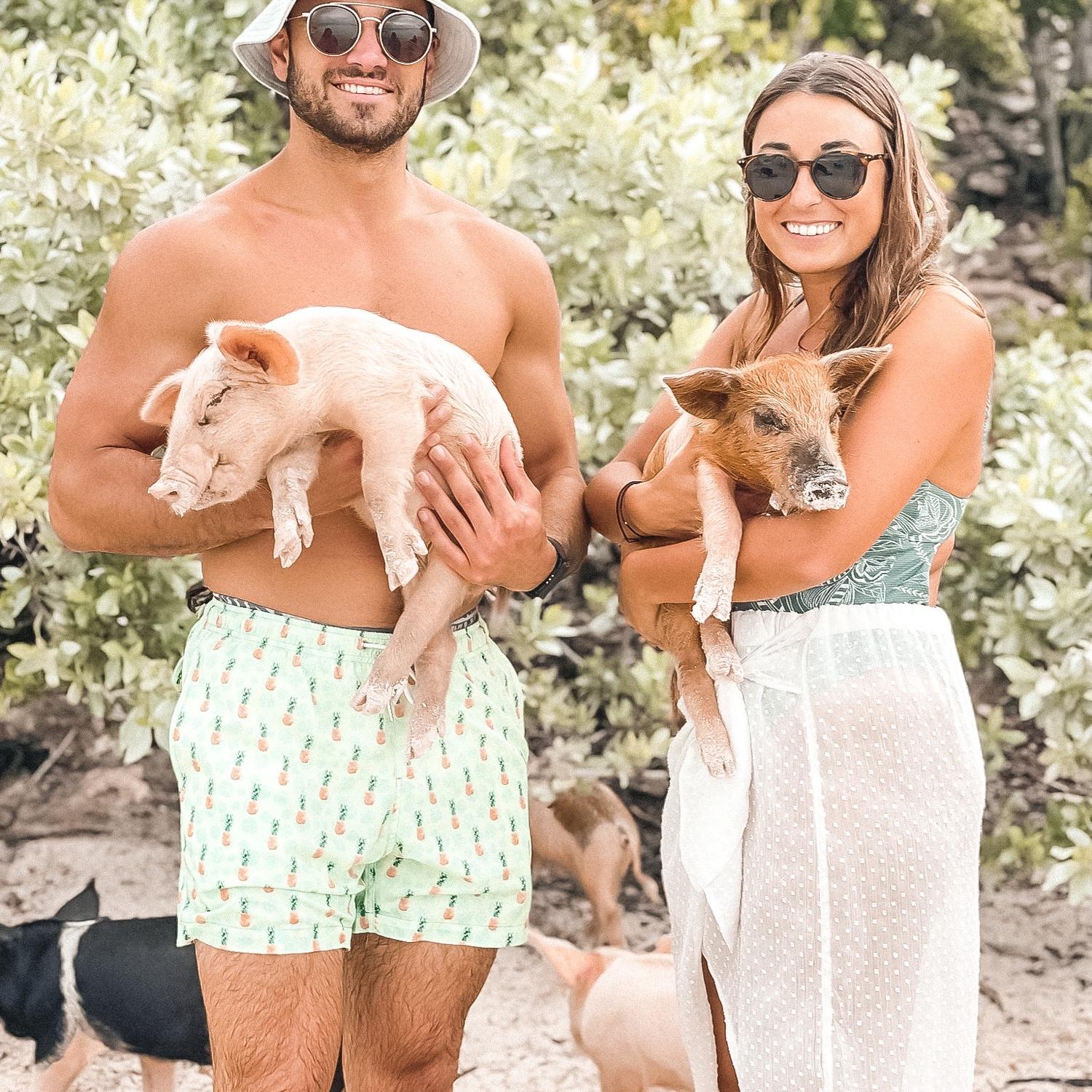 Pig island in Bahamas