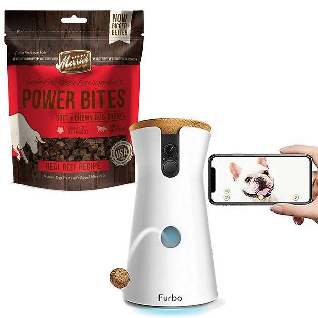 Furbo Full HD Wifi Dog Treat Dispenser & Camera + Merrick Power Bites Real Texas Beef Recipe Dog Treats - Chewy.com