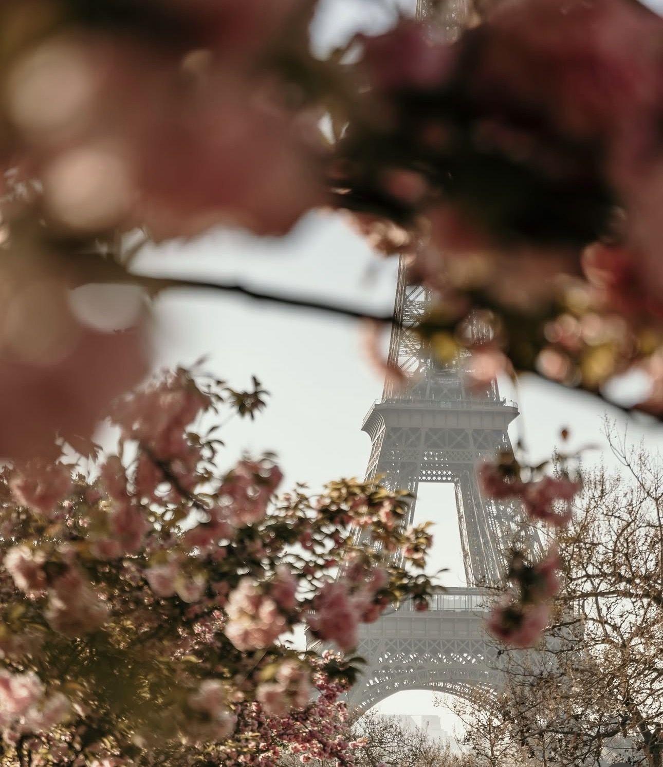 The Wedding Website of Sarahi Chavez and Mitchell Alderson