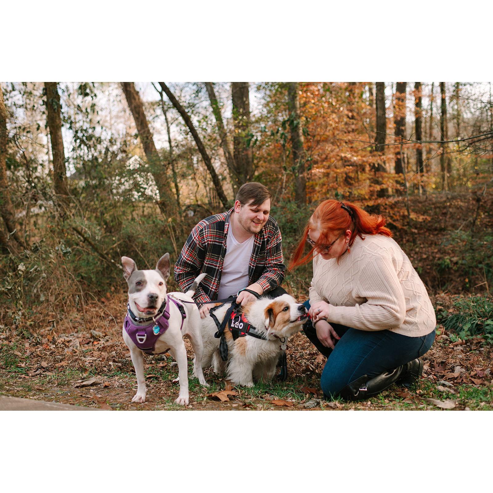 November 2022 — The hardest part of having the dogs in our engagement photos was keeping Leo from getting distracted by tasty plants.