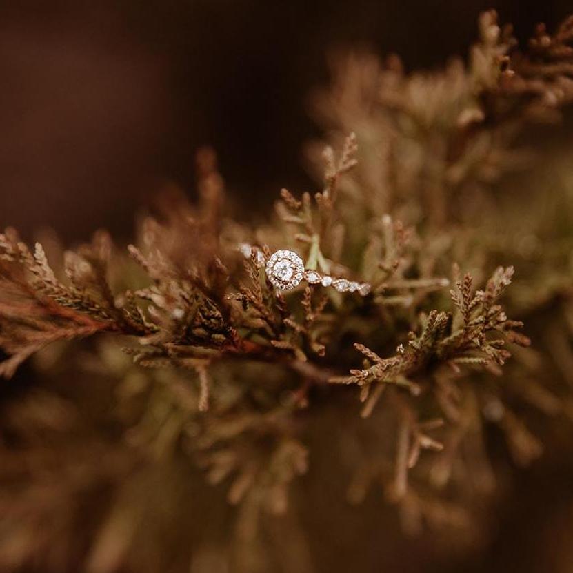 The ring.