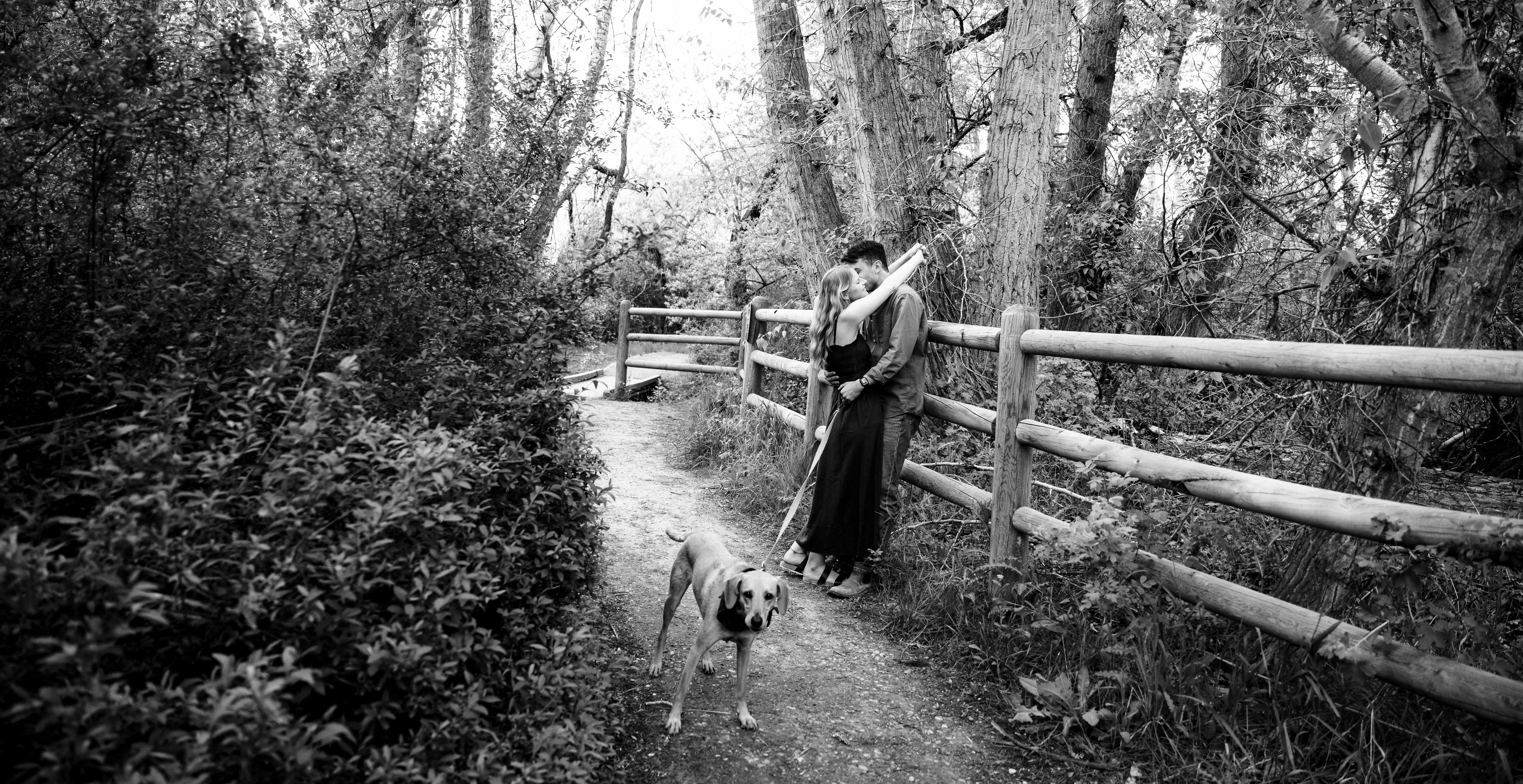 The Wedding Website of Laura Brockington and Lucas Morgenstern