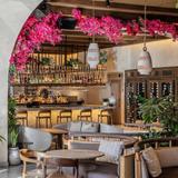 AVA MediterrAegean Coconut Grove