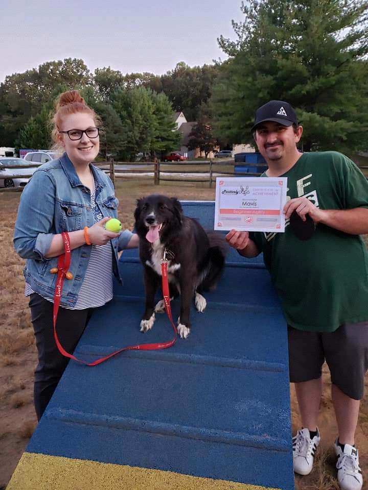 Mavis' agility class graduation