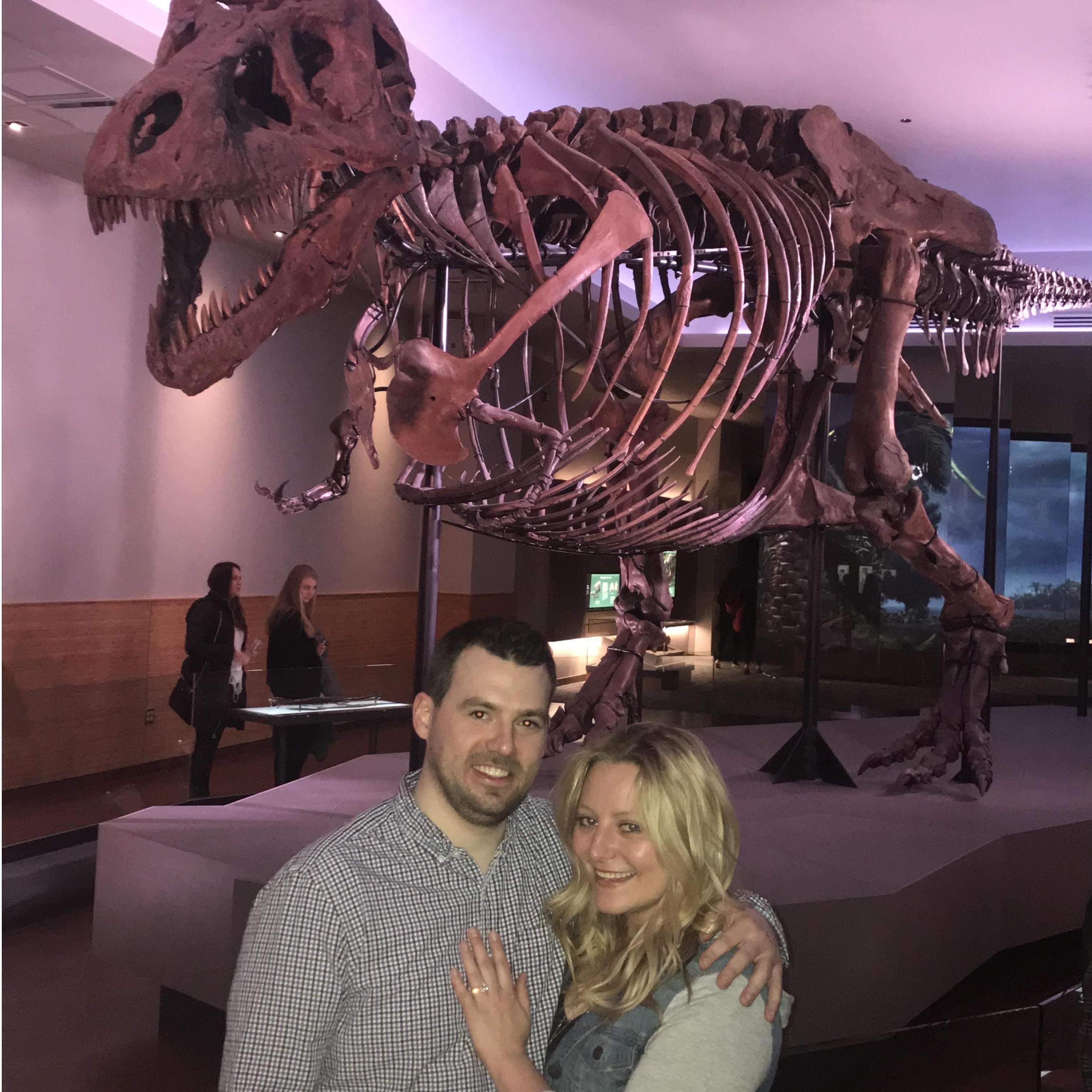 Engagement at the Field Museum