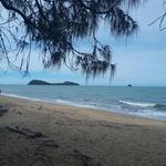 Palm Cove