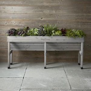 Vegtrug Wallhugger, Medium, Grey