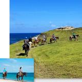 Horseback Riding By The Atlantic Shores