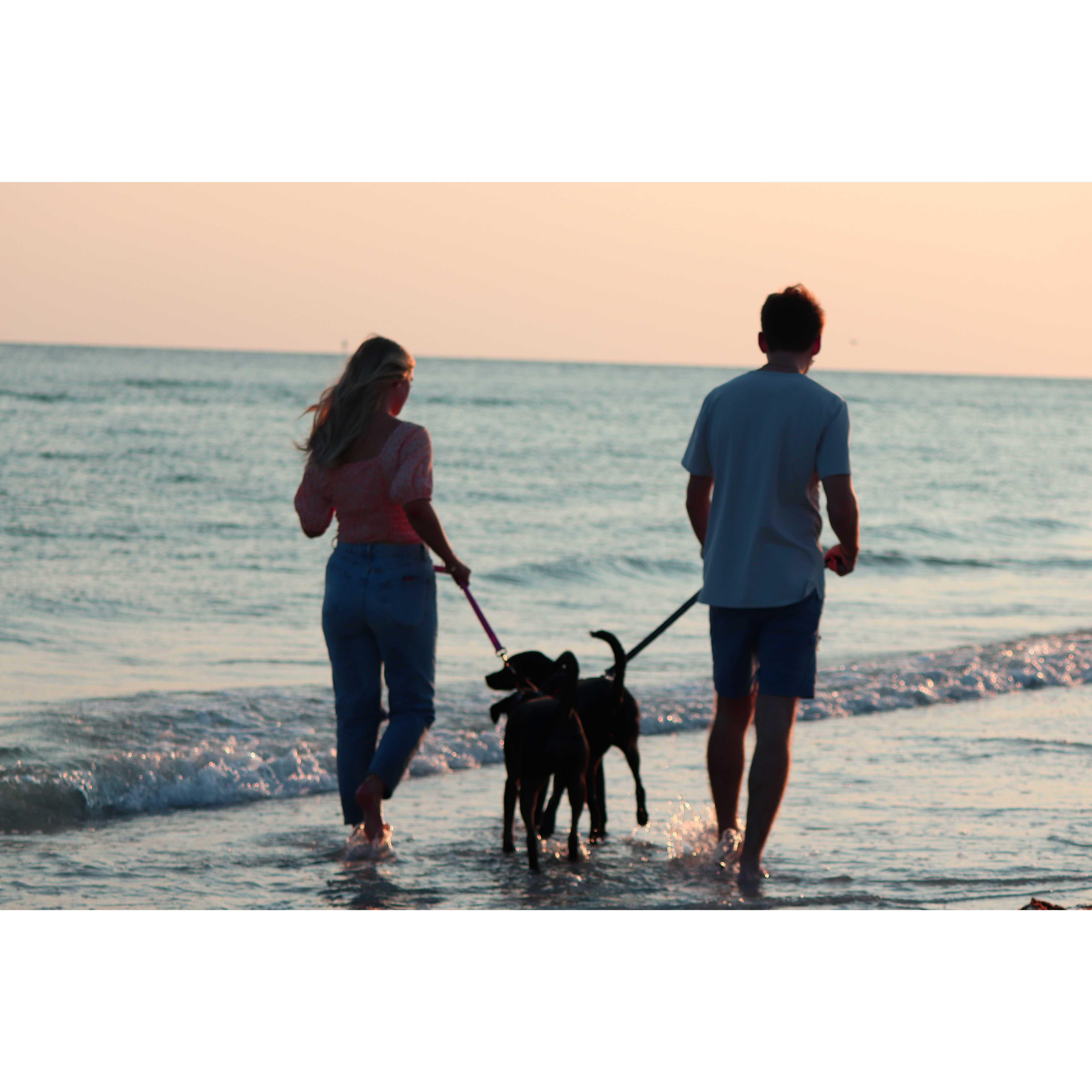 Honeymoon Island, our favorite place!