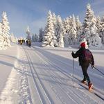 Tahoe Cross Country Ski Area