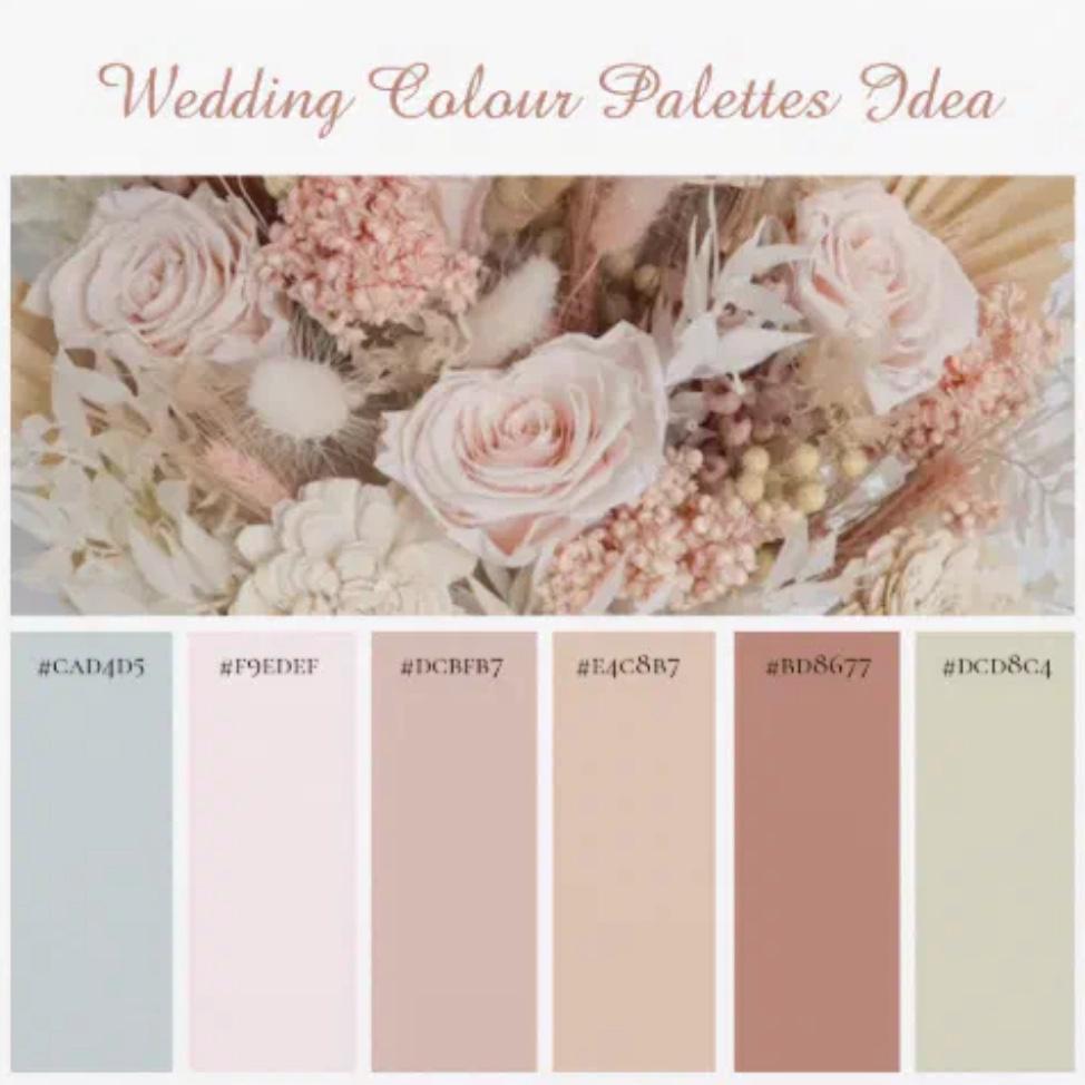 Here’s our color palette .