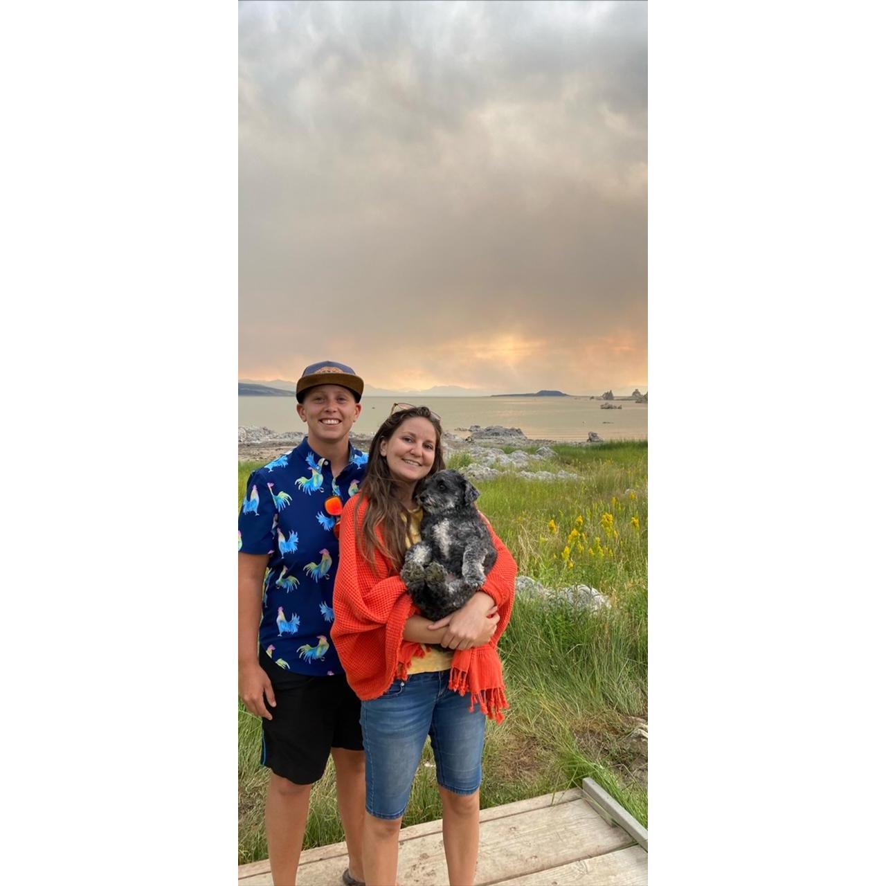 Mammoth 2020 - The Proposal Trip