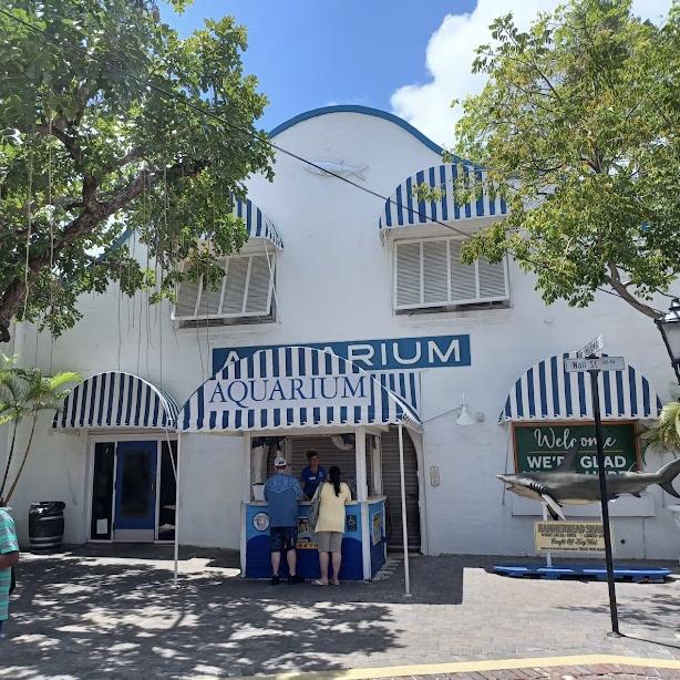 Key West Aquarium Tour