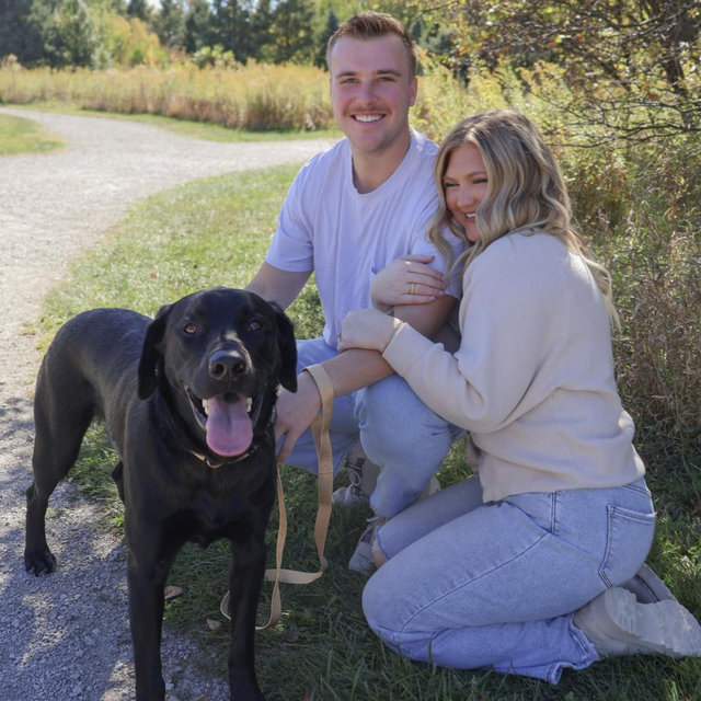 Our Pet Toy Fund