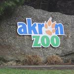 Akron Zoo
