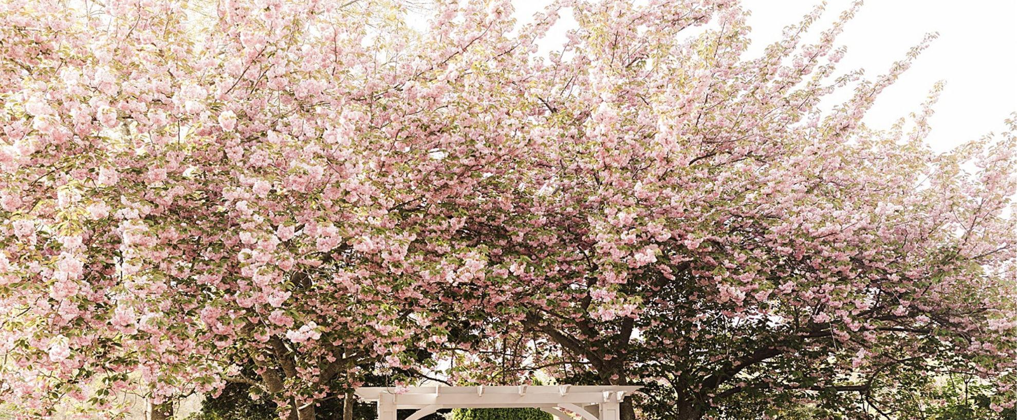 The Wedding Website of Kelly Hullihen and Emile Langton