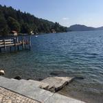 Ortello