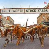 Fort Worth Stockyards Station