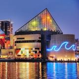 Baltimore National Aquarium