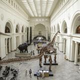 Field Museum