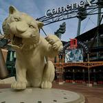 Tigers Game