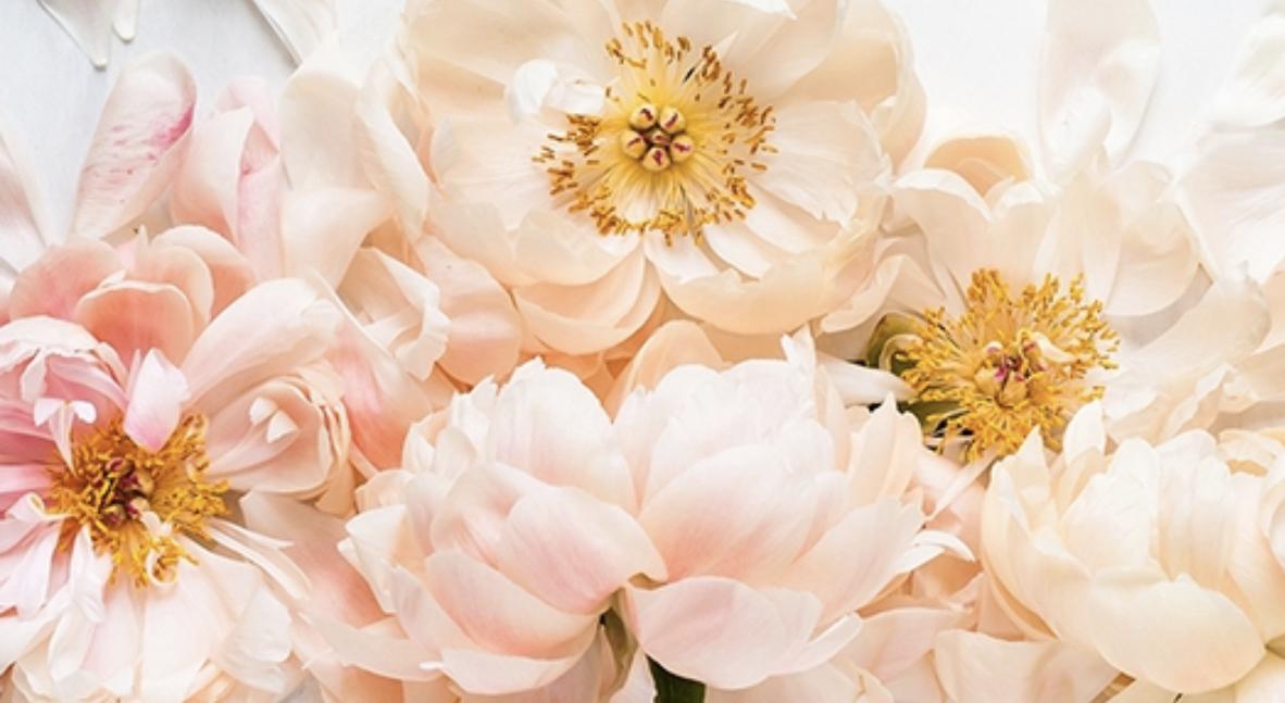 Footer image