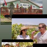 Glades Pike Winery