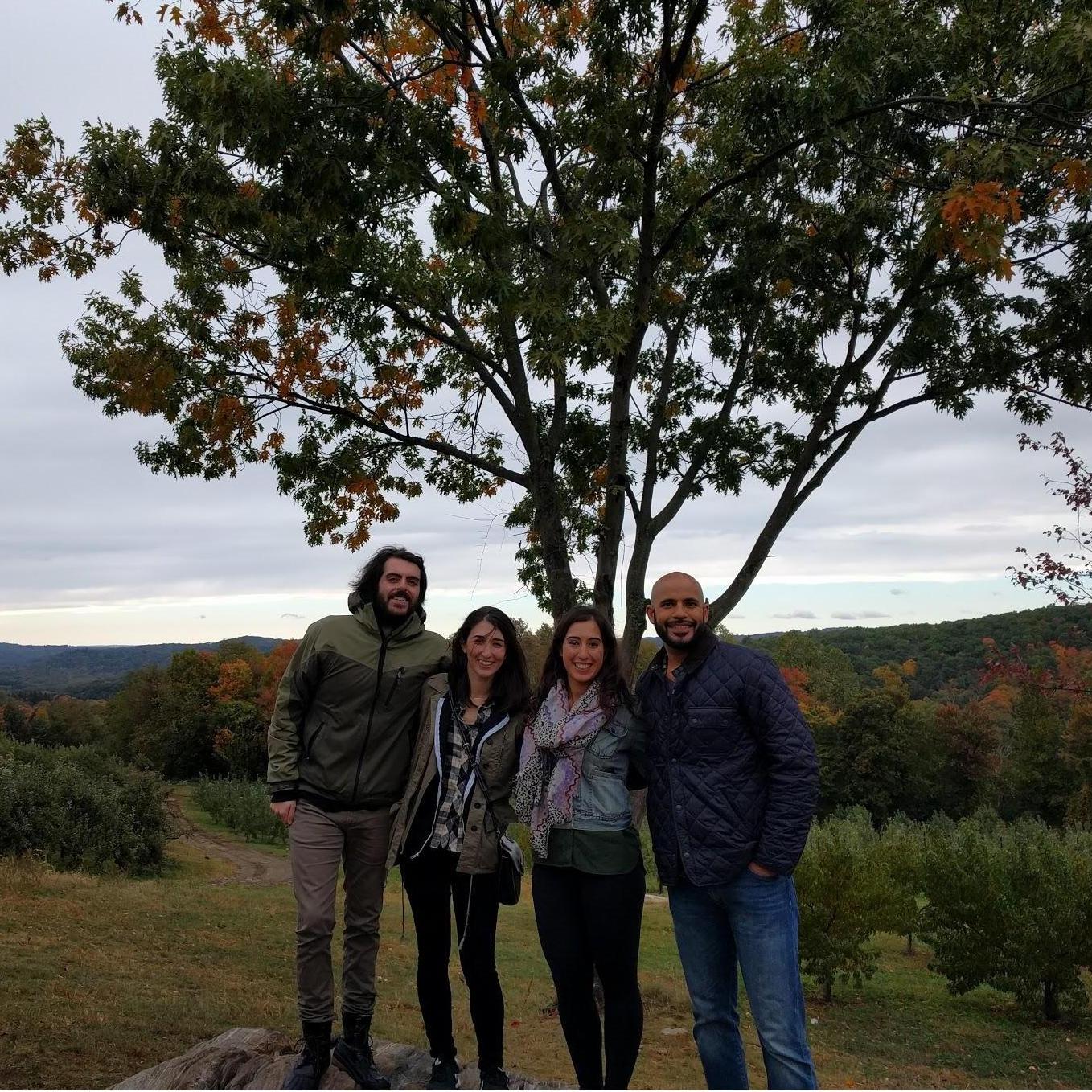 Upstate New York, October 2017.