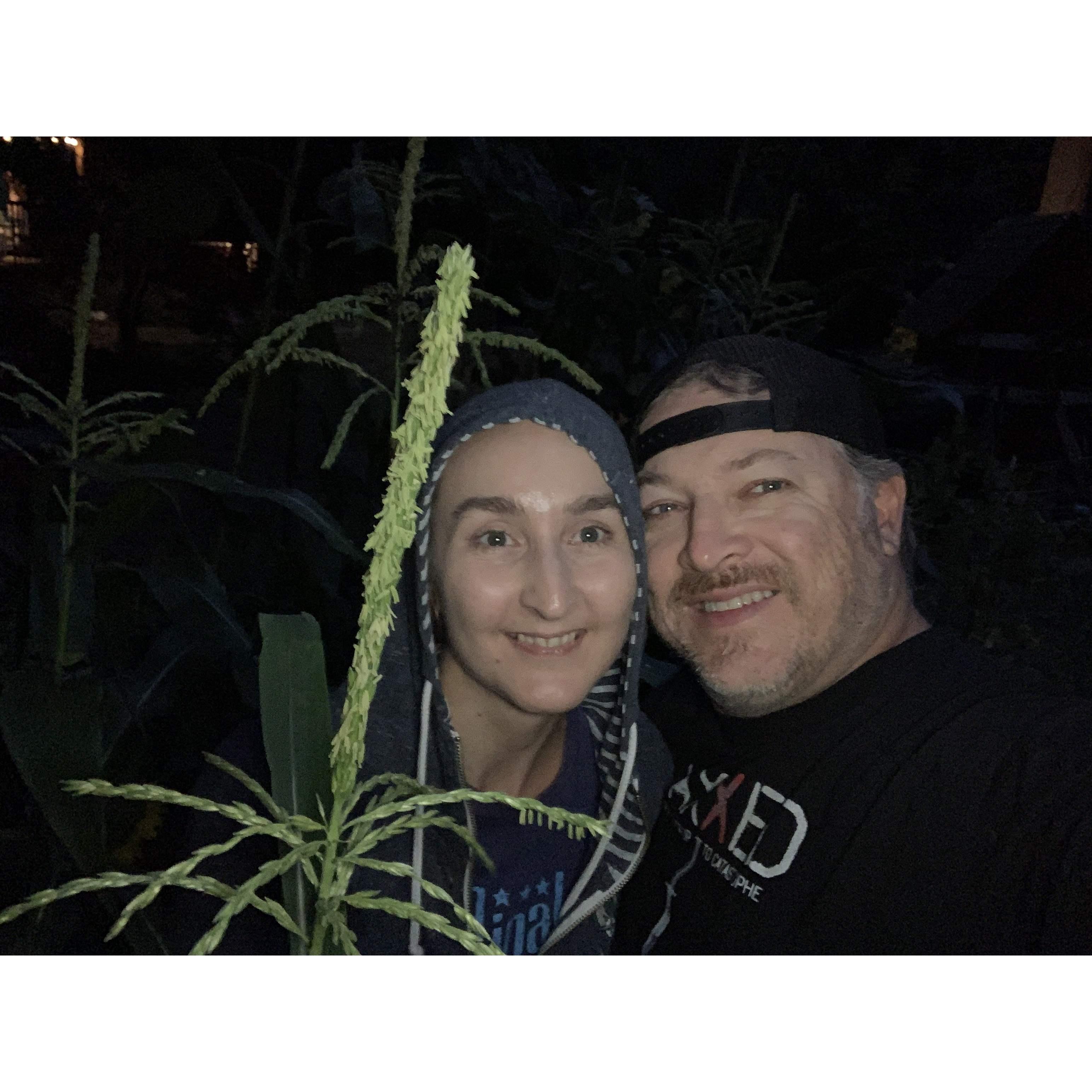 Hanging out in the Garden, Cornfield isle. Must be lost in the corn maze.