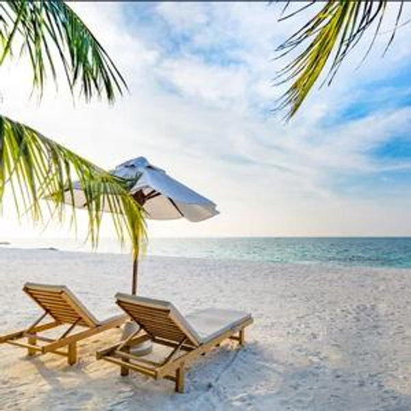 Tropical Island Honeymoon