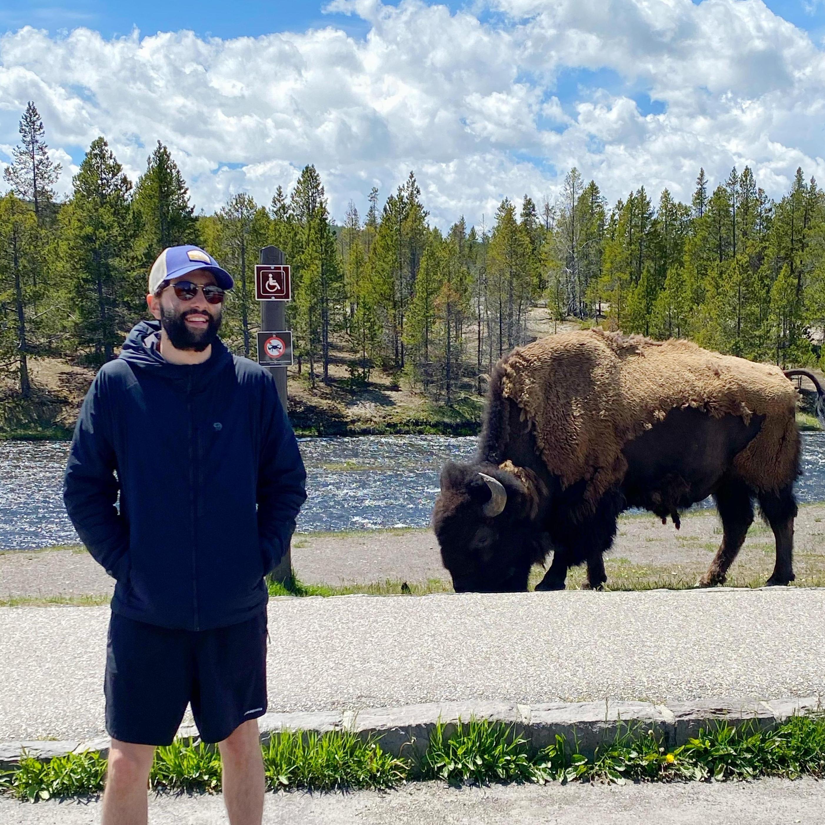 Yellowstone! Pierre standing right by a Bison!!