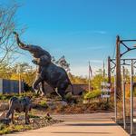 Saint Louis Zoo
