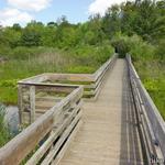 Binghamton University Nature Preserve