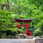 Birmingham Botanical Gardens