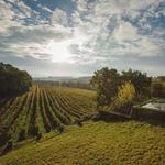 Château Arton – Discover Armagnac