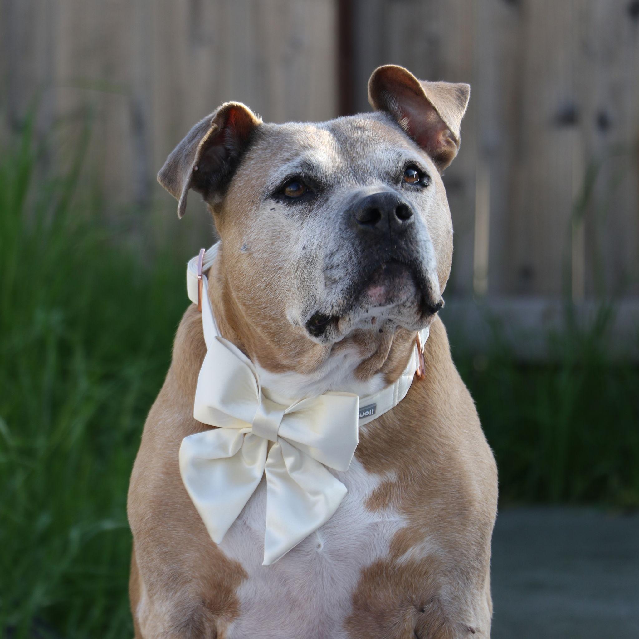 Nala Ramirez (13 y/o)