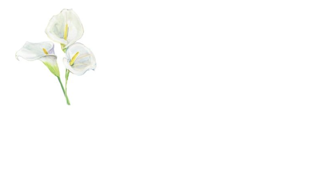 Footer image