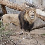 San Diego Zoo