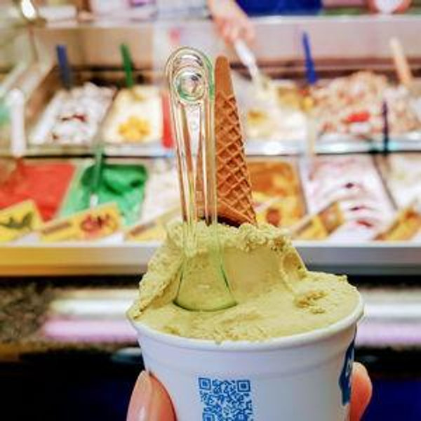 Ice Cream Every Night Fund