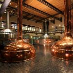 Sierra Nevada Brewing Co.