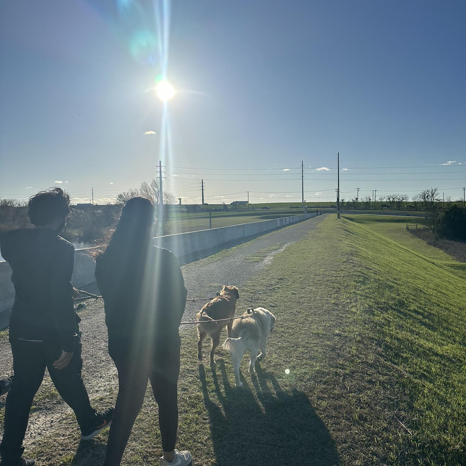 Walks..