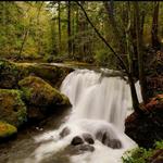 Whatcom Falls Park