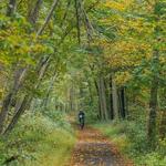 Kittatinny Valley State Park