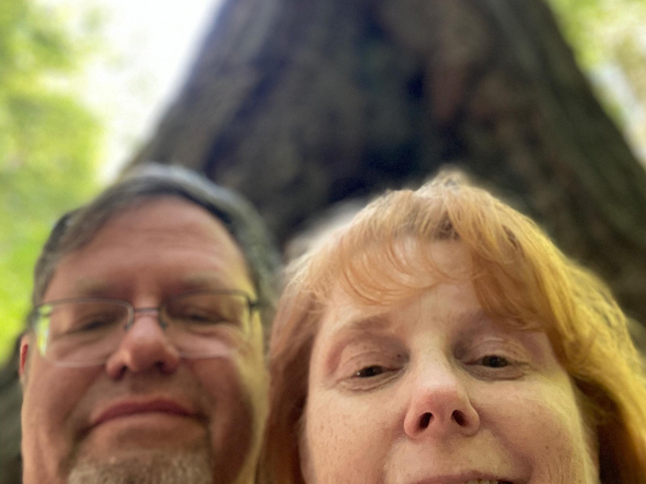 1767c02a-83e3-4fae-9969-7739d707f51a