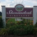 Shenandoah Vineyards