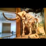 Sam Noble Oklahoma Museum of Natural History